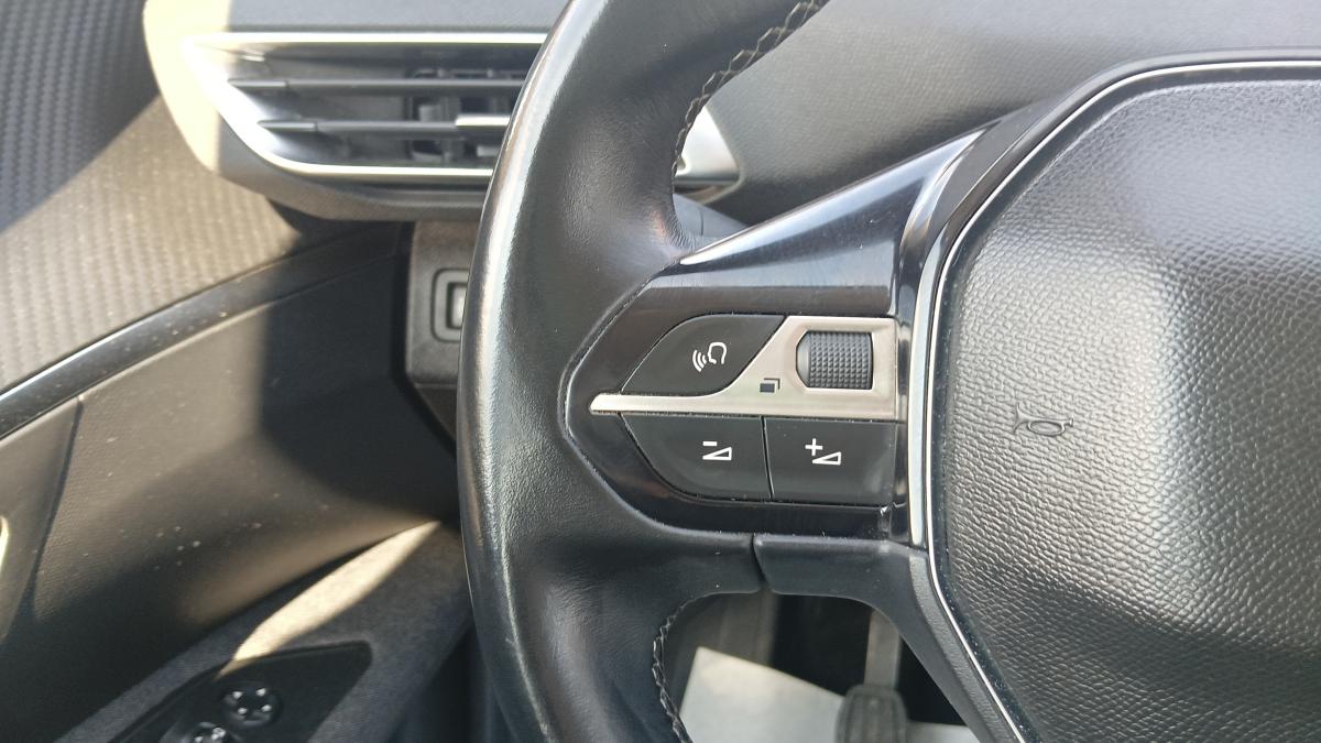 Peugeot 3008 1.5 HDI 130CV Business 061